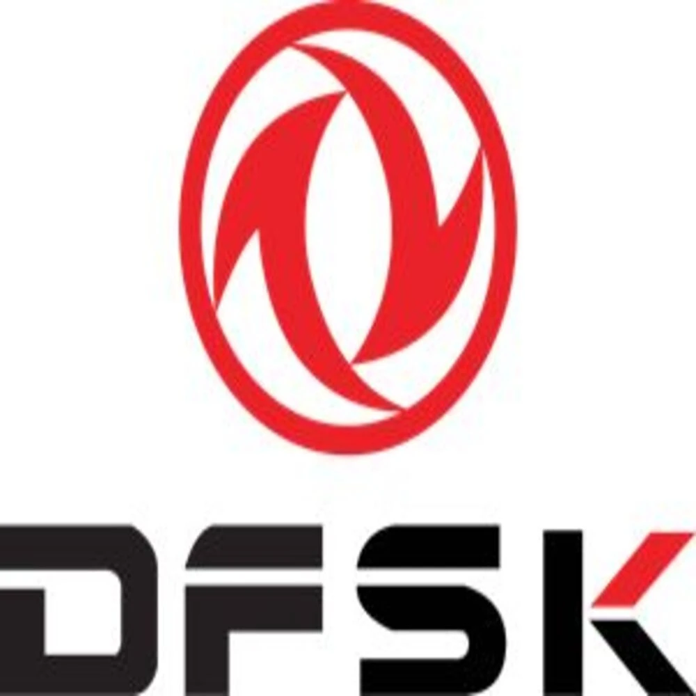 DFSK